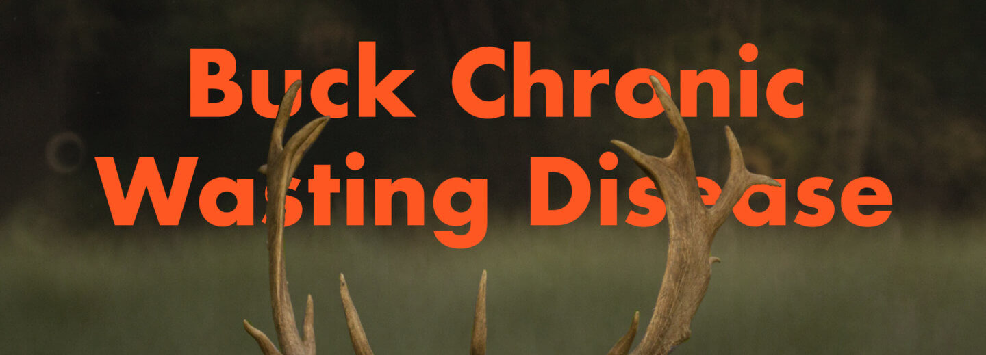 image of deer antlers with orange text, "buck chronic wasting disease"