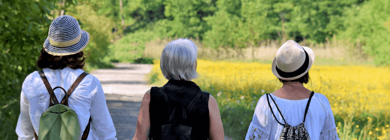 three people walking in a park with their backs to the camera